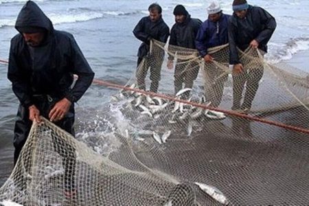 ارتزاق ۴۰۰ خانوار از منابع آبی دریاچه سد بوکان