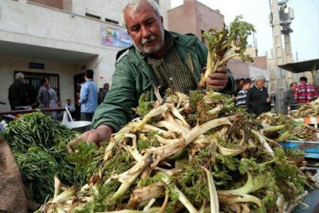 هرگونه بهره‌برداری از محصولات مرتعی و جنگلی ممنوع و غیر قانونی است