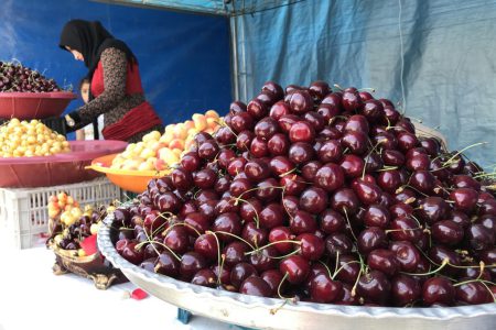 پنجمین جشنواره گیلاس اشنویه برگزار می‌شود