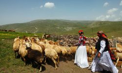 عشایر اشنویه سالانه بیش از ۹ هزار تن فرآورده دامی تولید می‌کنند