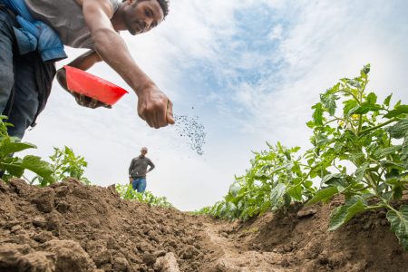 تامین ۱۹۸۳ تن انواع کود شیمیایی برای مصارف کشاورزی