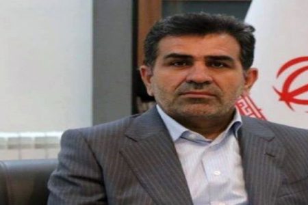 ساختارهای بیمه ای کار آمد در بیمه سلامت نقش پر رنگی در درمان ناباروری دارد