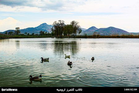 تالاب گلمرز ارومیه