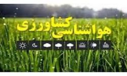 هشدار جهاد کشاورزی آذربایجان غربی درباره کاهش دما و احتمال سرمازدگی محصولات کشاورزی