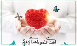 سیزدهمین اهدای عضو در استان آذربایجان غربی در سال ۱۴۰۱