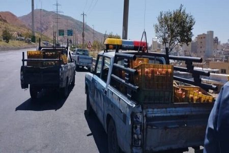 مافیای وانت بارهای میوه فروش تبریز در دستان ۱۸ نفر / فروش سیار مشروب و مواد مخدر در این شهر