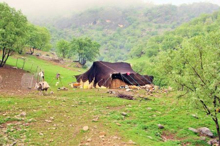 امرار معاش ۱۸۰۰ خانوار عشایر در میاندوآب