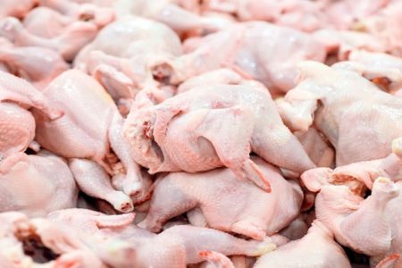 ورود مرغ‌ های آلوده به بازار ایران! / رئیس‌جمهور مانع از واردات مرغ از بلاروس شود
