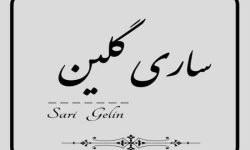 ساچین اوجون هورمزلر