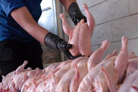 مجازات بیش از ۲ میلیارد ریال برای گرانفروشی مرغ در شاهین دژ