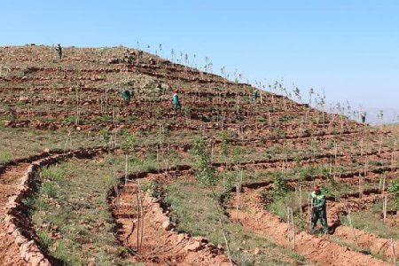 شناسایی بیش از ۱۱۰۰هکتار از اراضی تغییر کاربری غیرمجاز در شهرستان ارومیه