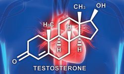 پایین‌بودن تستوسترون چگونه بر سلامت قلب اثر می‌گذارد