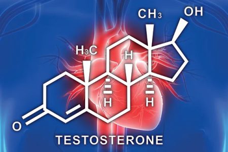 پایین‌بودن تستوسترون چگونه بر سلامت قلب اثر می‌گذارد