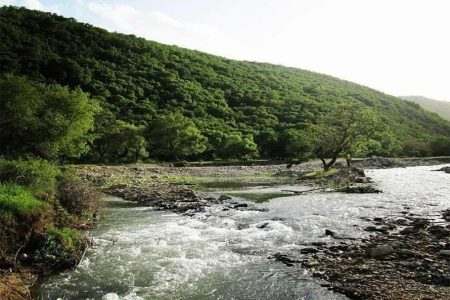 اخذ سند مالکیت برای ۱۷۸ هکتار از اراضی بستر رودخانه‌ها در پیرانشهر