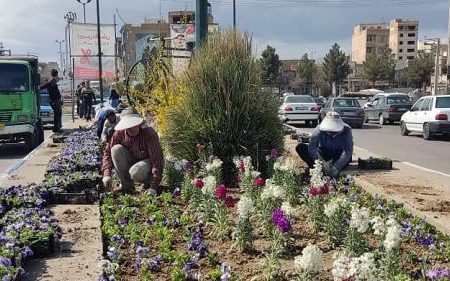 استقبال از بهار با ۶۰۰ هزار بوته گل در میاندوآب