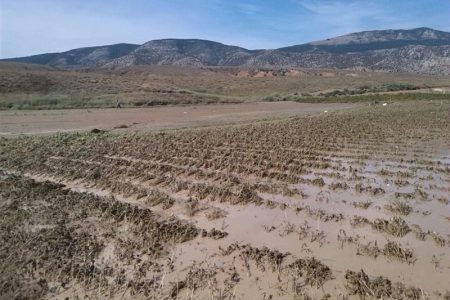 بخش کشاورزی آذربایجان‌غربی ۱۴۵ میلیارد ریال خسارت دید