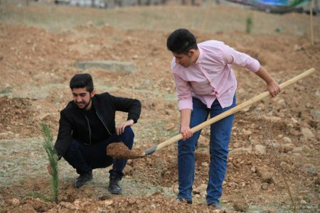 کاشت چهار میلیون و ۲۰۰ هزار اصله نهال در آذربایجان غربی