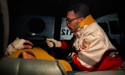 حمله گرگ در روستای دشوان سلماس ۳ زخمی برجای گذاشت