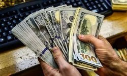 محرومیت فعالیت بازرگانی متخلف ارزی در ماکو