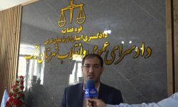حمله مرگبار سگ‌های ولگرد به کودک ۴ ساله در تکاب؛ دادستان: با مقصران برخورد می‌کنیم