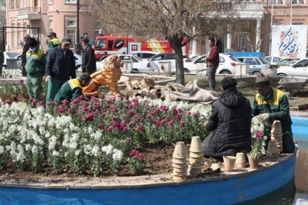 آغاز کاشت گل‌های بهاری در ارومیه/ شهر در استقبال از بهار رنگین می‌شود