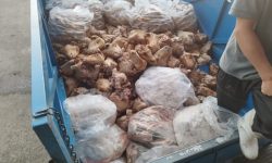 توقیف محموله یک تنی کله‌پاچه غیربهداشتی در میاندوآب