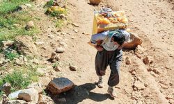 ۸۷ قلم گروه کالایی مجاز کوله‌بری در آذربایجان‌غربی اعلام شد