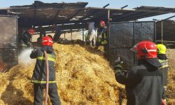 مهار آتش سوزی در انبار علوفه در ارومیه