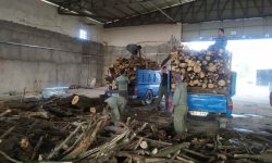 توقیف ۳محموله چوب قاچاق در بوکان؛ ۶ تُن چوب بلوط و بید کشف شد