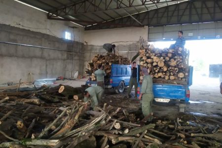 توقیف ۳محموله چوب قاچاق در بوکان؛ ۶ تُن چوب بلوط و بید کشف شد