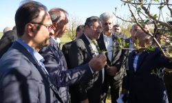 خسارت ۴ هزار میلیارد تومانی بارش تگرگ و سیل به کشاورزی آذربایجان غربی