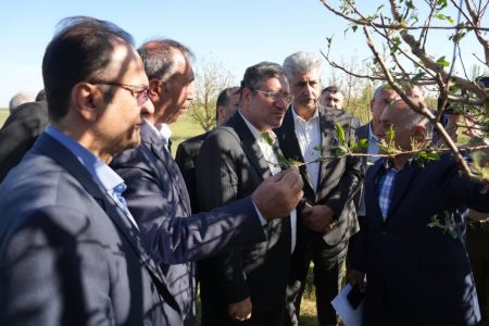 خسارت ۴ هزار میلیارد تومانی بارش تگرگ و سیل به کشاورزی آذربایجان غربی