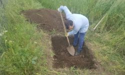 آغاز تعیین عرصه و حریم تپه تاریخی شماره ۲ ربط