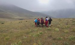 مرگ تلخ چوپان در ارتفاعات وارناسا بر اثر ایست قلبی