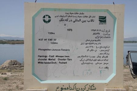 رشد بی‌رویه جلبک‌ها در تالاب دُرگه‌سنگی نقده، تهدیدی برای حیات آبزیان