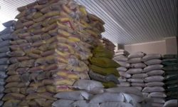 کشف انبار بزرگ قاچاق کالاهای اساسی در اشنویه