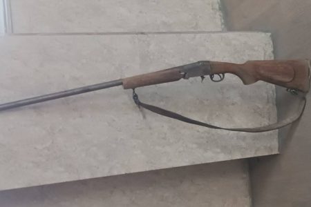 شکارچی غیرمجاز پیش از اقدام به شکار در ارومیه دستگیر شد