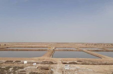 آماده‌باش بزرگترین سایت پرورش آرتمیای شمال‌غرب کشور برای جذب سرمایه‌گذار