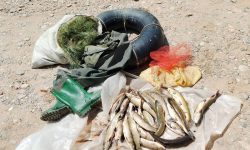 صیاد غیرمجاز در رودخانه زرینه‌رود شاهین‌دژ دستگیر شد