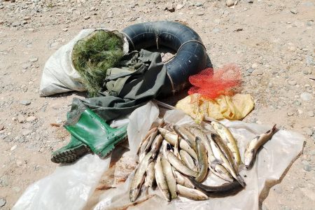 صیاد غیرمجاز در رودخانه زرینه‌رود شاهین‌دژ دستگیر شد