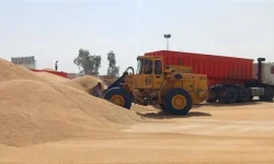 خرید ۹۰ هزار تن گندم توسط تعاون روستایی آذربایجان‌غربی