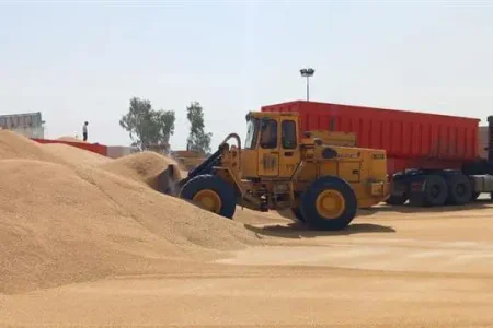 خرید ۹۰ هزار تن گندم توسط تعاون روستایی آذربایجان‌غربی