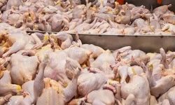 افزایش تولید گوشت مرغ در آذربایجان‌غربی تا پایان سال