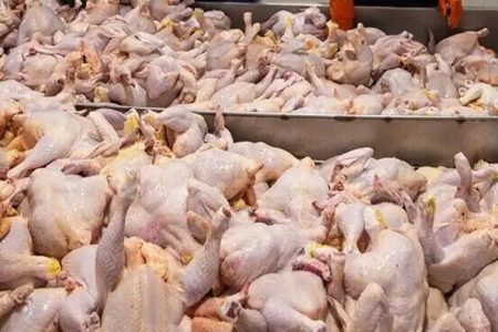 افزایش تولید گوشت مرغ در آذربایجان‌غربی تا پایان سال