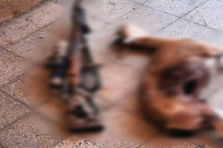 شکارچیان متخلف در مراکان به دام افتادند