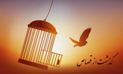 سازش دهمین پرونده قتل عمد در آذربایجان غربی