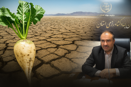 افتخار یا فاجعه؟ تولید ۳۵ درصد چغندرقند کشور به قیمت مرگ دریاچه ارومیه