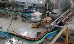 تولید ۱۵۰ میلیون لیتر آبمیوه در پاکدیس؛ وعده حمایت در آستانه ورود ماشین‌آلات ۱۰ میلیون دلاری