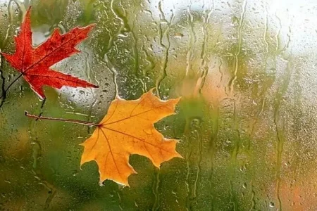 پیراهن پاییزی بر تن آذربایجان‌غربی / هشدار زرد هواشناسی برای پنجشنبه