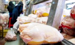 آذربایجان غربی ظرفیت تولید مازاد بر مصرف مرغ را دارد